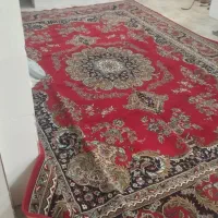 فرش|فرش|محمدیه-قزوین, |دیوار