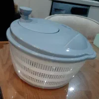 سبزی خشک‌کن لیمون