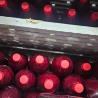 فروش یخچال فریزر زیر صفر و بالای صفر|یخچال و فریزر|داراب, |دیوار