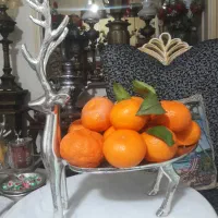 ظرف بزرگ وارداتی مدل آهو جنس آلومینیوم سنگین وزن|ظروف سرو و پذیرایی|ساری, |دیوار