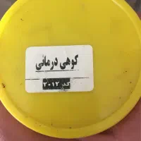 عسل طبیعی