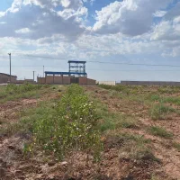 فروش باغ پسته و زمین کشاورزی