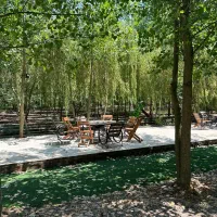 چالش جذاب سرمایه گذاری ،ویلا جنگلی خاص|فروش خانه و ویلا|سرپل ذهاب, |دیوار