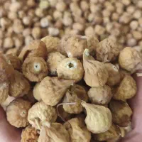 انجیر دیم گوشتی خوش طعم فقط مصرف کننده|خوردنی و آشامیدنی|شیراز, کوشک میدان|دیوار