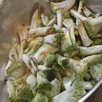 سبزی کوهی طالقان