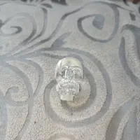 اسکلت