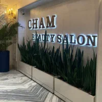 دستیار رنگ و لایت