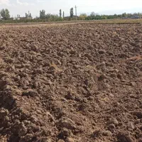 فروش زمین|فروش زمین و ملک کلنگی|یامچی, |دیوار