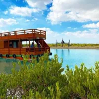 تور گشت جزیره قشم و هنگام با ون تویوتا هایس  اقامت|تور و چارتر|قشم, |دیوار