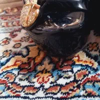 کفش مجلسی|کیف، کفش، کمربند|کاشان, شهرک انقلاب|دیوار