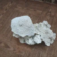 صخره مرجانی طبیعی