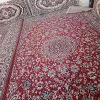 قالی شیش متری درحد