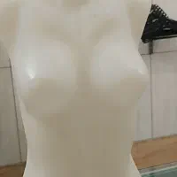 مانکن پا و نیم تنه و رگال|فروشگاه و مغازه|بهارستان, |دیوار