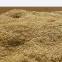 فروش کاه گندم و جو