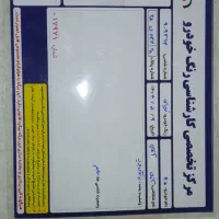 پژو ۴۰۵ بدون رنگ