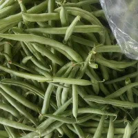 لوبیا استانبولی چین امروز