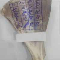 سرکتاب از کتاب مجرب و معتبر انجام میشود،صبور باشید|فعالیت داوطلبانه|تهران, جردن|دیوار