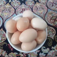 تخم مرغ محلی نطفه دار