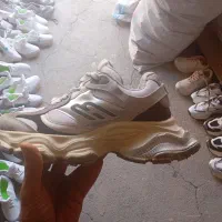 انواع کفش های اسپورت زنانه فقط 350هزار تومان|کیف، کفش، کمربند|جوانرود, |دیوار