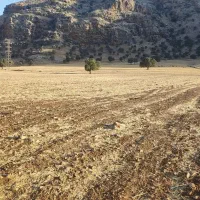 زمین کشاورزی