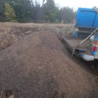 در تناژ بار درختان مرکبات تاثیر بسیار زیادی دارد|گل و گیاه طبیعی|نکا, |دیوار