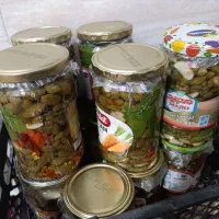 ترشی لیجی