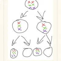 کلاس عمومی و خصوصی اردبیل و حومه