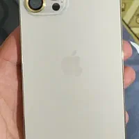 12پرومکس معاوضه با 13نرمال