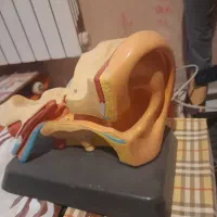 تعدادی وسایل دست دوم