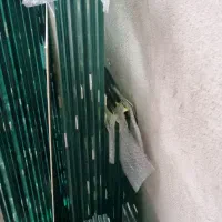 اکواریوم ریملس تولید مستقیم بدون واسطه|ماهی|تهران, وردآورد|دیوار