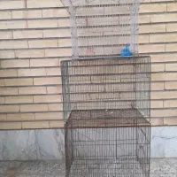 قفس‌قناری