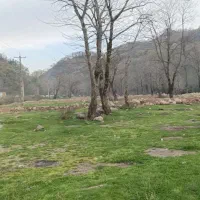 4200-متر-زمین-بر-اصلی-با-بر-60