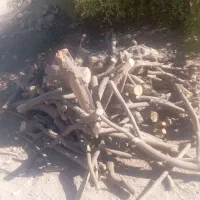 برش با خودمان