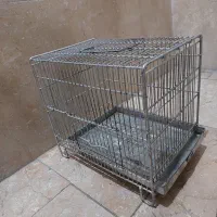 قفس  سهره عروس هلندی|لوازم جانبی حیوانات|قدس, شهر‌قدس|دیوار