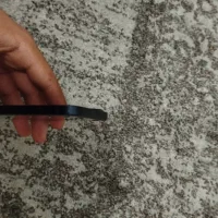 ایفون 13|موبایل|رفسنجان, |دیوار