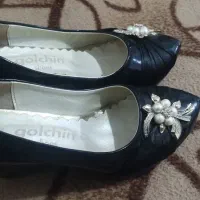 کفش مجلسی|کیف، کفش، کمربند|گنبد کاووس, |دیوار