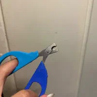 ظرف خاک و وسایل گربه ناخن‌گیر ظرف غذا