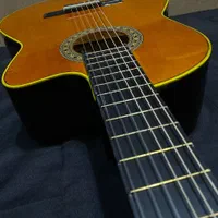 گیتار پارسی اکشن پایین|گیتار، بیس، امپلیفایر|مشهد, آزادشهر|دیوار