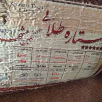 قالی و حاشیه