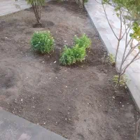 گلکاری چمن کاری چمن زنی سم پاشی هرس انگور و درختان|خدمات باغبانی و درختکاری|تبریز, |دیوار