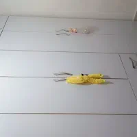 رهن خانه دو طبقه|اجارهٔ خانه و ویلا|قم, قلعه کامکار|دیوار