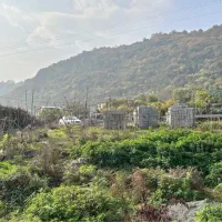 ۴۵۱متر زمین صنعتی بر جاده اصلی شهر لیسار|فروش زمین و ملک کلنگی|لیسار, |دیوار