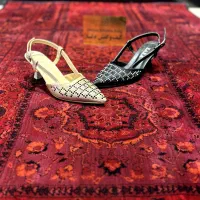 کیف کفش دلسا (زنانه)