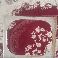 زیریخچالی یا زیرکولری