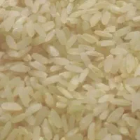 برنج کامفیروزی و فجر نورآبادی|خوردنی و آشامیدنی|شیراز, میانرود|دیوار