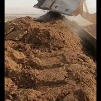 کود گاوی|خدمات باغبانی و درختکاری|چناران, |دیوار