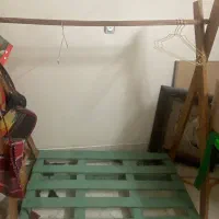 فروشس تعدادی رگال مزونی