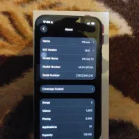 ایفون 13 نرمال|موبایل|کلاردشت, |دیوار
