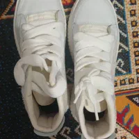 کتونی ال استار|کیف، کفش، کمربند|بومهن, |دیوار