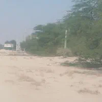 فروش ۵۰۰۰ متر زمین کنار اتوبان کنگان کاکی